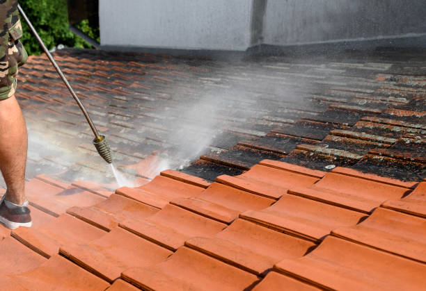 Best Deck Pressure Washing  in Holley, FL