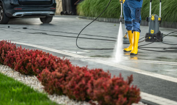 Best Pressure Washing Siding  in Holley, FL
