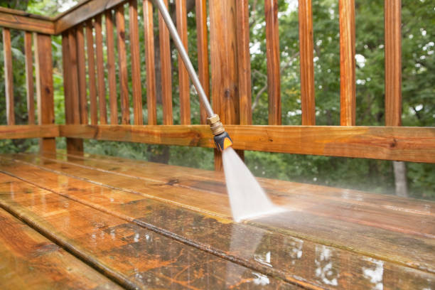Best Roof Pressure Washing  in Holley, FL