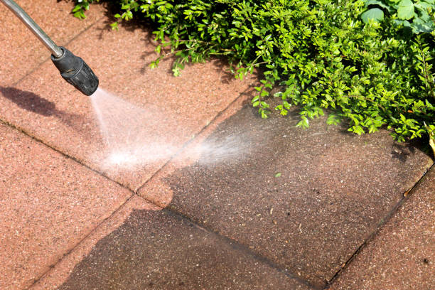 Best Fence Pressure Washing  in Holley, FL